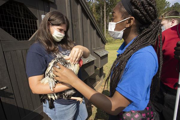Agriscience Teacher holding chicken while student pets it.